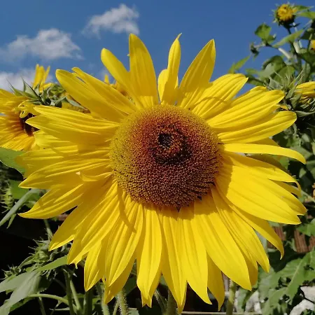 Ehrensberger Brixen im Thale