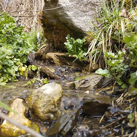 Apartment Ehrensberger Brixen im Thale