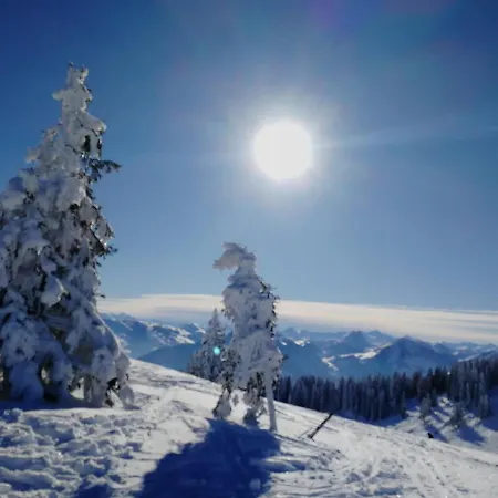 Ehrensberger * Brixen im Thale