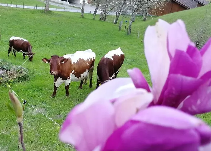 Ehrensberger Apartment *