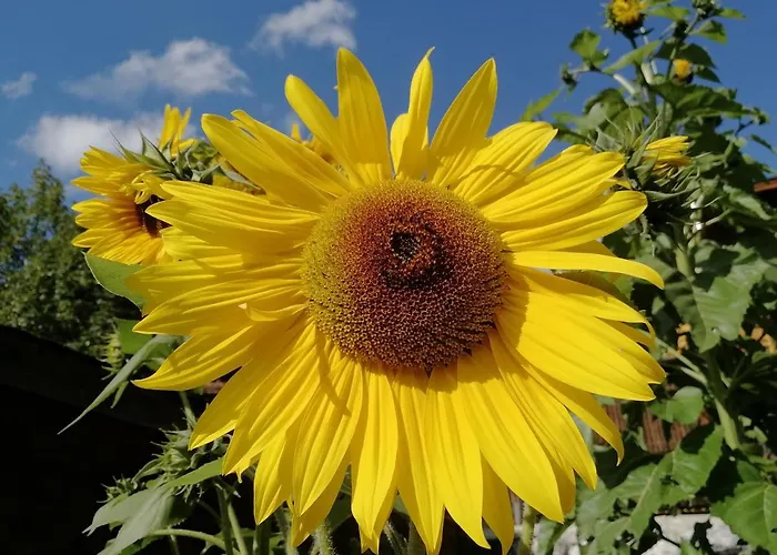 Ehrensberger Brixen im Thale