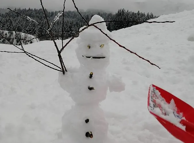 Ehrensberger Appartamento