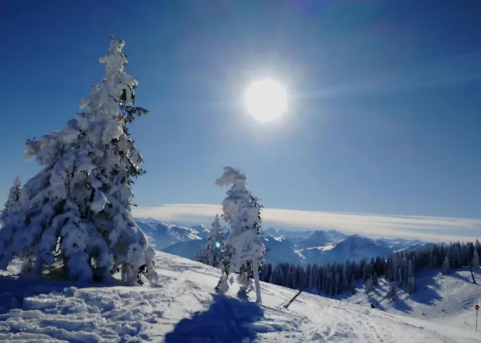 Ehrensberger * Brixen im Thale